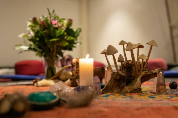 Psilocybin Retreats Netherlands What To Expect Psilocybin Retreats Netherlands What To Expect