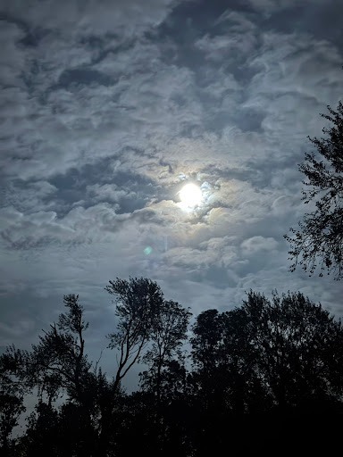 Photo from customer review
